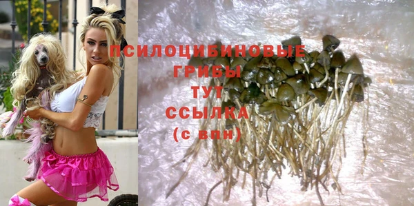 герыч Алзамай