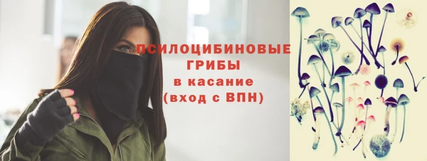 героин Алексин