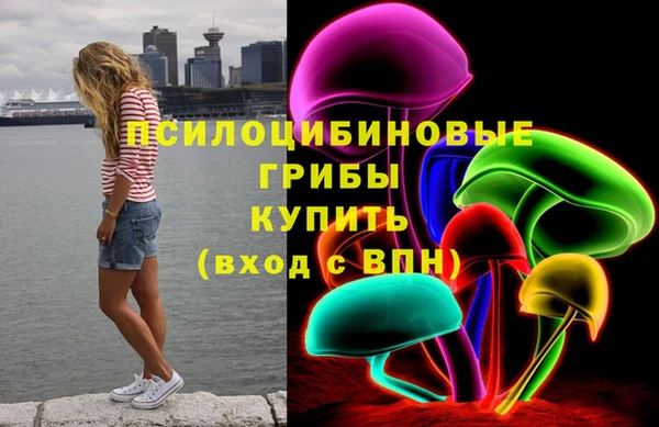 героин Алексин