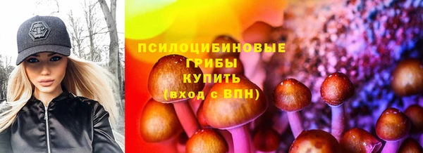 мдпв Пролетарск