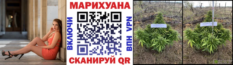 Бошки Шишки гибрид Кондопога